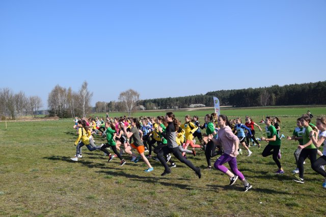 biegikwi 16